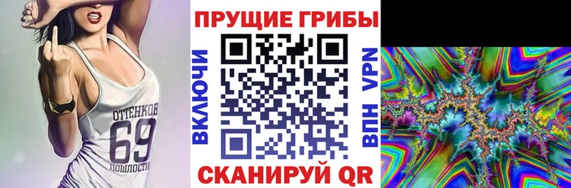 кракен маркетплейс  Первомайск  Псилоцибиновые грибы мухоморы 